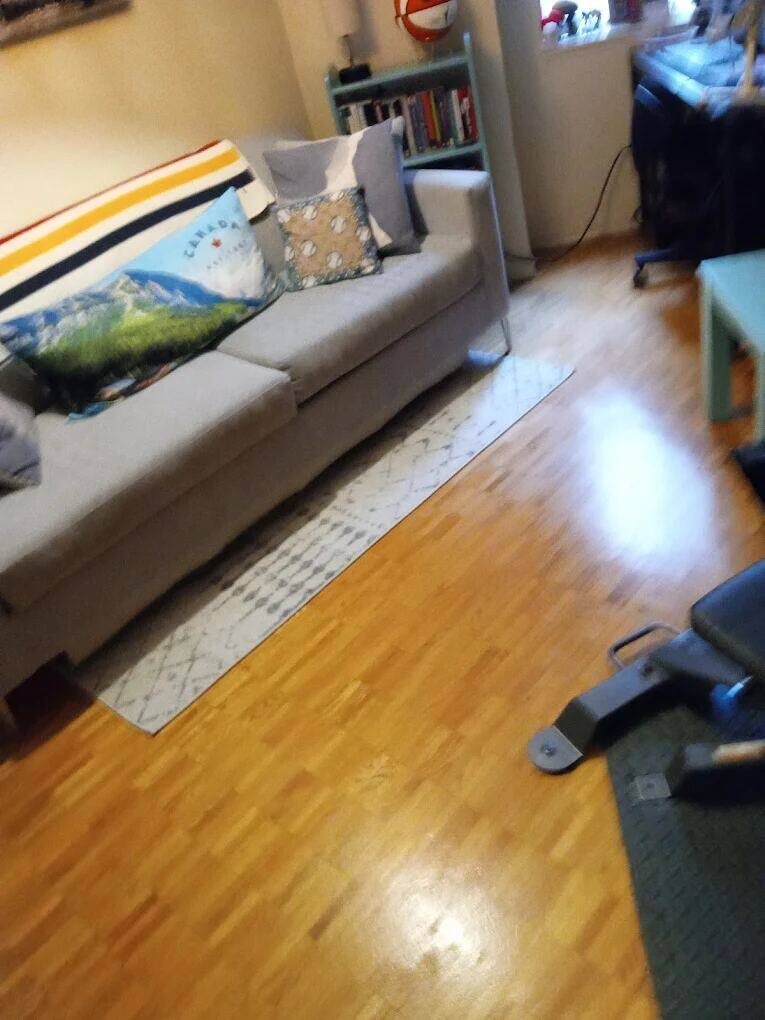 Living room — vacuum, dust, restore